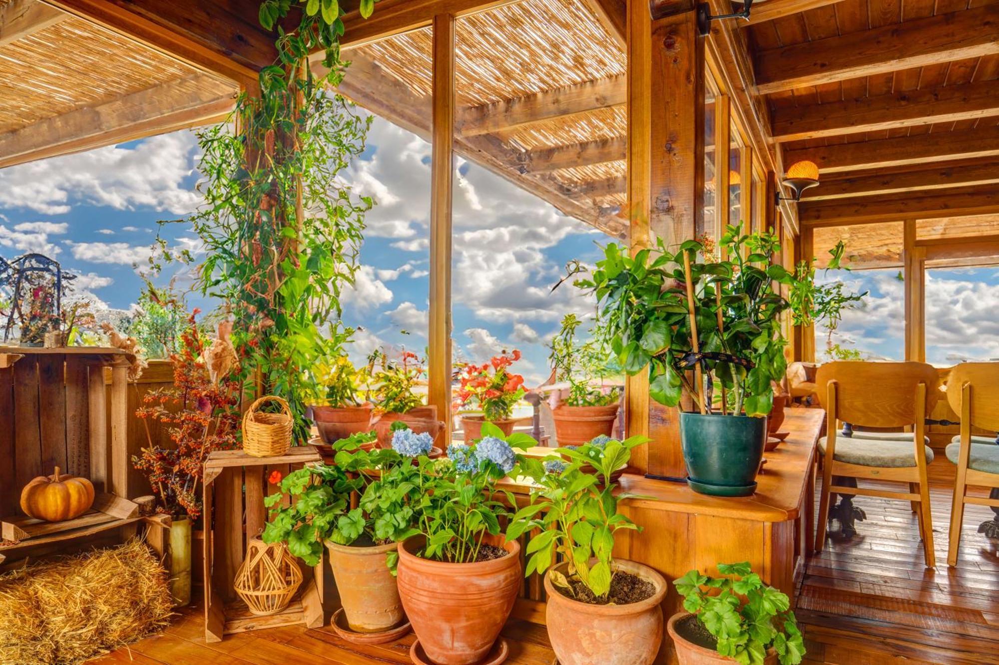 Vasil Cave Hotel Uchisar Εξωτερικό φωτογραφία